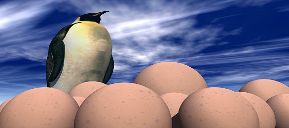 eggs 27 image